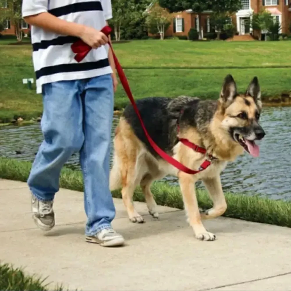 New. No pull dog harness